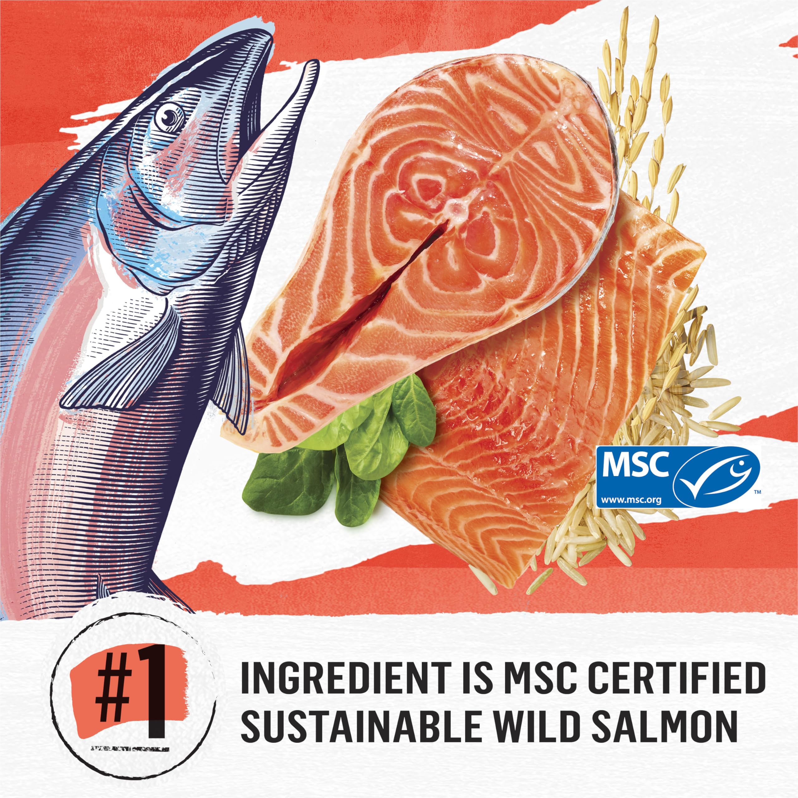 Beyond Simply Natural Dry Cat Food, Salmon & Whole Brown Rice - 2.72 kg Bag 🍁 All In One Marketplace Canada