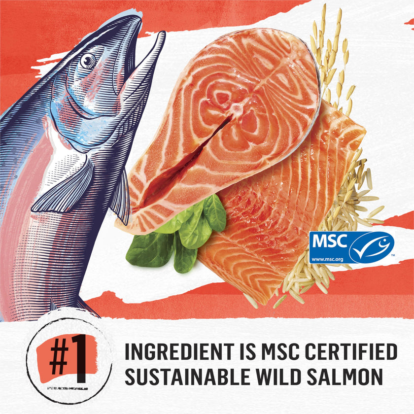 Beyond Simply Natural Dry Cat Food, Salmon & Whole Brown Rice - 2.72 kg Bag 🍁 All In One Marketplace Canada