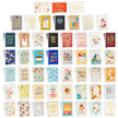 Hallmark All Occasion Boxed Set of Assorted Blank Greeting Cards with Card Organizer (Pack of 100)—Birthday, Thank You, Congratulations, Wedding, Baby, Thinking of You, Sympathy 🍁 All In One Marketplace Canada