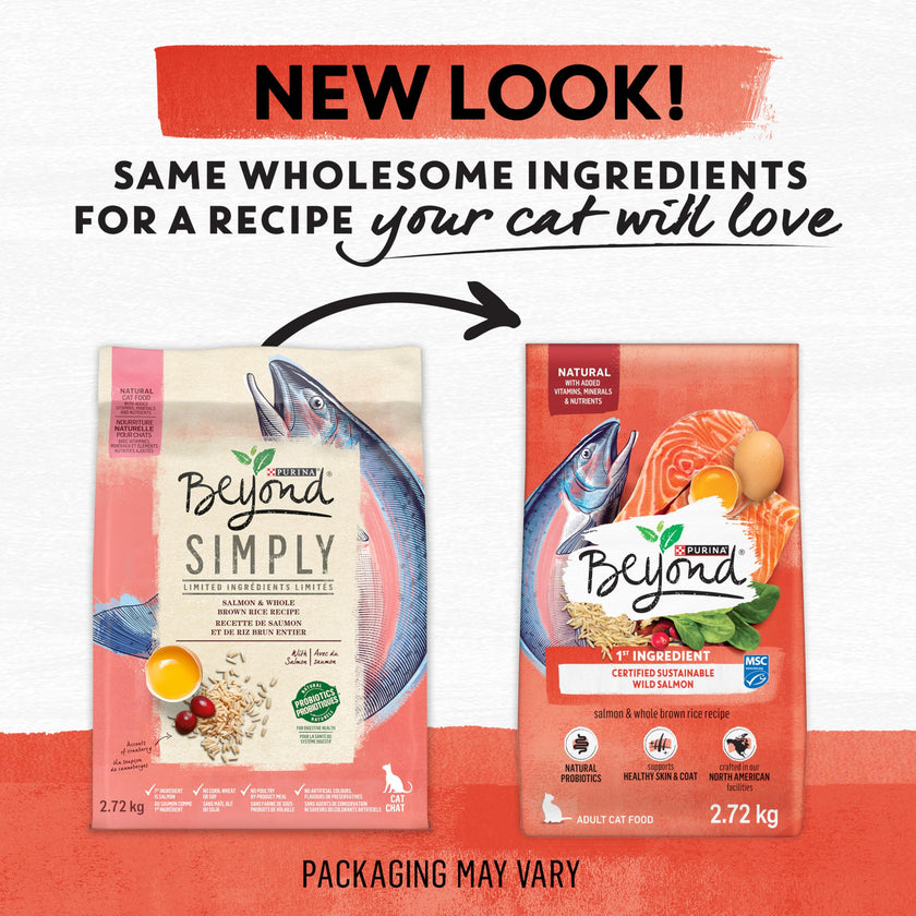 Beyond Simply Natural Dry Cat Food, Salmon & Whole Brown Rice - 2.72 kg Bag 🍁 All In One Marketplace Canada