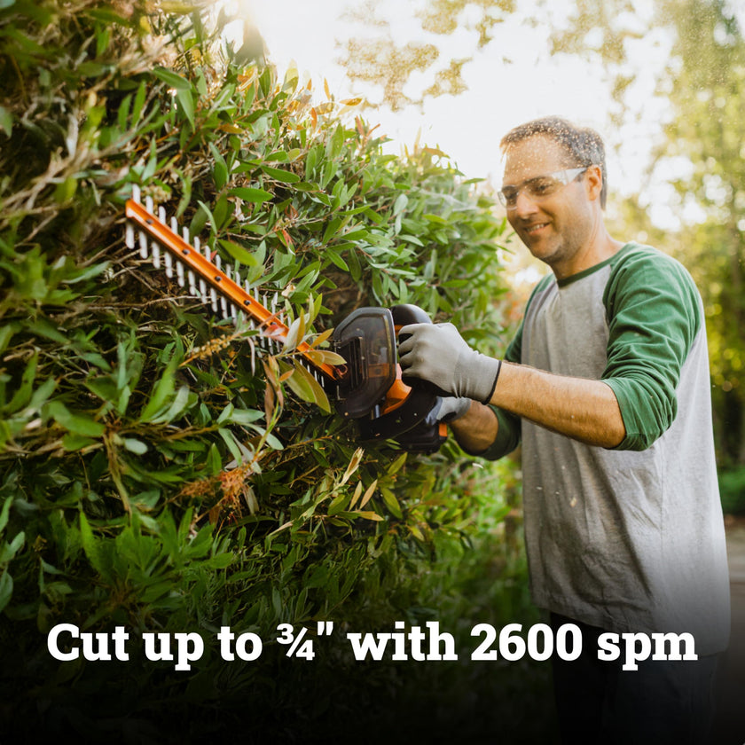 WORX WG261.9 20V PowerShare 22