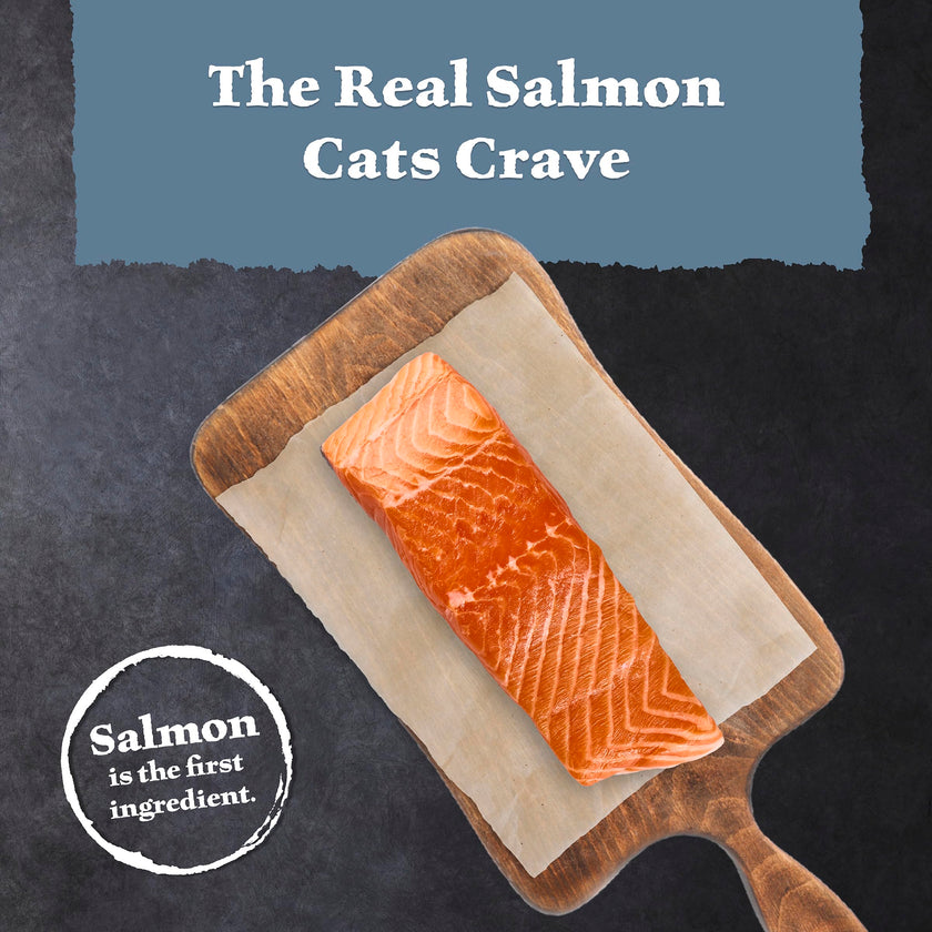 Blue Buffalo Wilderness with Salmon Natural High-Protein Grain-Free Dry Food for Adult Cats, Real Salmon First, Antioxidant-Rich LifeSource Bits Support Immunity, Promotes Strong Muscles, 2.2kg/5 lbs. 🍁 All In One Marketplace Canada
