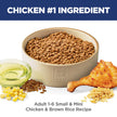 Hill's Science Diet Adult Small & Mini Chicken Meal & Rice Recipe Dry Dog Food 2.04 kg Bag 🍁 All In One Marketplace Canada