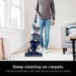 Shark NV380C Navigator Lift-Away Upright Vacuum, Large Dust Cup, Navy 🍁 All In One Marketplace Canada