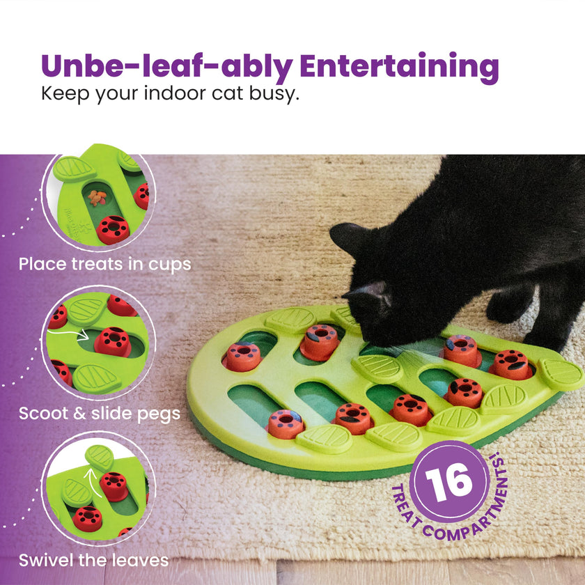Catstages Buggin' Out Puzzle & Play, Interactive Treat Puzzle Cat Toy, Green 🍁 All In One Marketplace Canada