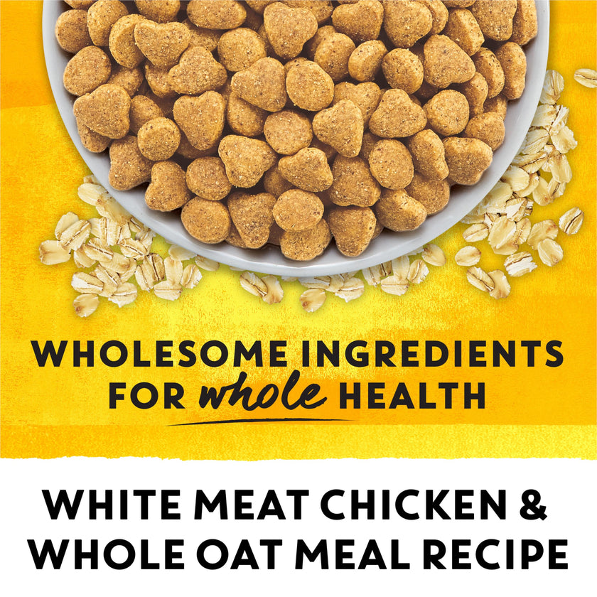 Beyond Dry Cat Food, Chicken & Whole Oatmeal 5.89kg 🍁 All In One Marketplace Canada