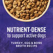 Beyond Wild Dry Dog Food, Turkey, Egg & Bone Broth 4.5kg 🍁 All In One Marketplace Canada