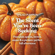 Yankee Candle Scented Candle, Spiced Pumpkin, Original Large Jar Candle, 110-150 Hours of Burn Time, 22 oz. 🍁 All In One Marketplace Canada