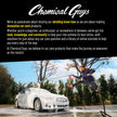 Chemical Guys Wheelie All Exterior Surface and Wheel Brush (Safe for Cars, Trucks, SUVs, RVs, Motorcycles, & More) Green 🍁 All In One Marketplace Canada