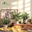 Der Rose 3 Pack Mini Potted Fake Plants Artificial Plastic Eucalyptus Plants for Home Office Desk Farmhouse Room Decor Indoor 🍁 All In One Marketplace Canada