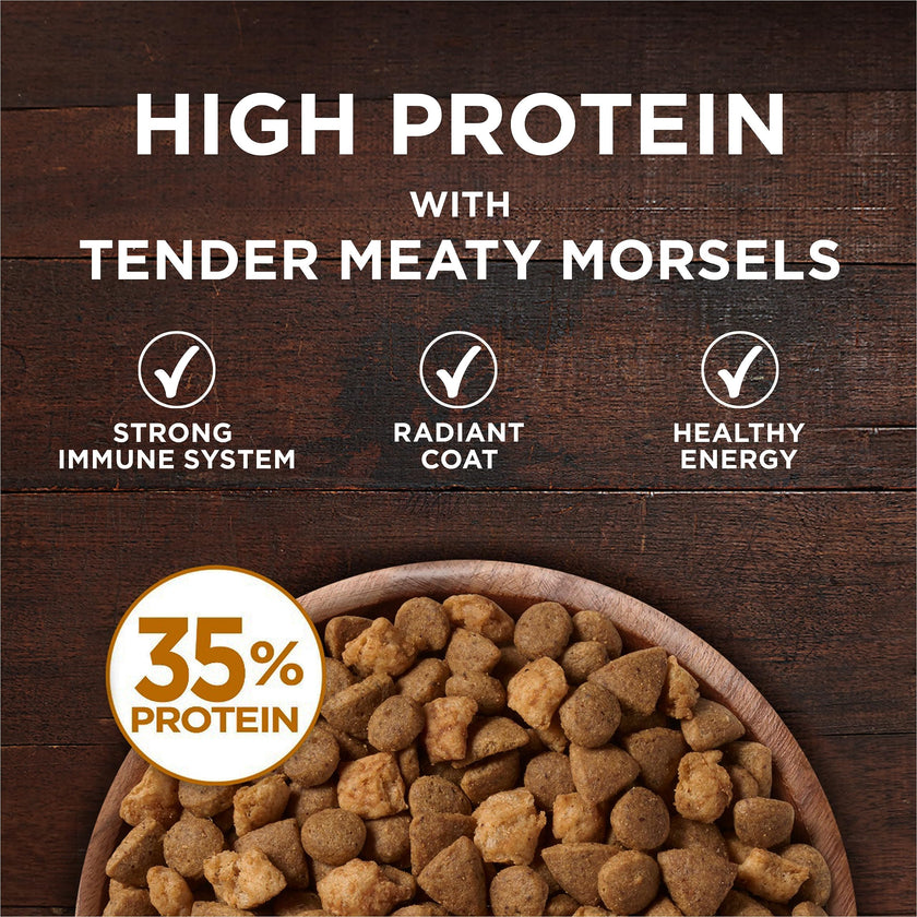 Purina ONE True Instinct Grain Free Dry Cat Food, High Protein Chicken - 6.53 kg Bag 🍁 All In One Marketplace Canada