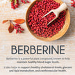 Berberine 1000mg | Healthy Cholesterol, Glucose & Lipid Metabolism & Cardiovascular Health Support | High Potency Berberine Supplement with Bitter Melon & Banaba Extract | Made in Canada | 90 Ct 🍁 All In One Marketplace Canada