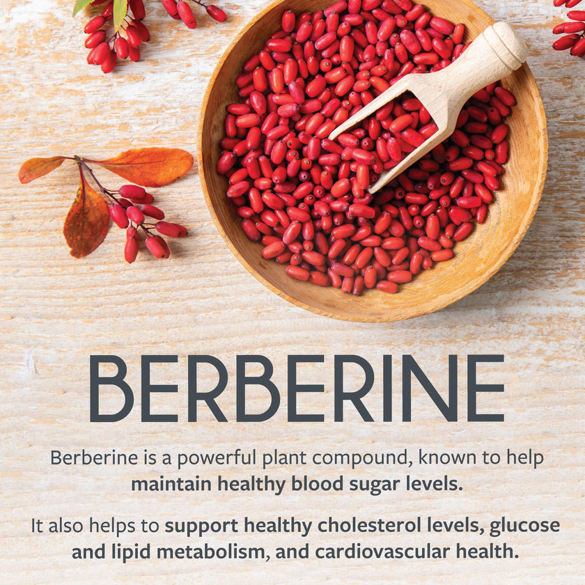 Berberine 1000mg | Healthy Cholesterol, Glucose & Lipid Metabolism & Cardiovascular Health Support | High Potency Berberine Supplement with Bitter Melon & Banaba Extract | Made in Canada | 90 Ct 🍁 All In One Marketplace Canada
