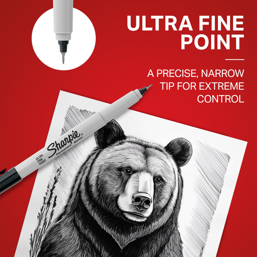 Sharpie Permanent Markers, Ultra Fine Point, Black, 12 Count 🍁 All In One Marketplace Canada