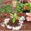 Diatomaceous Planet a Proudly Canadian Company, 2 KG / 4.4 LB All Natural, Organic Food Grade Powder, Enriched Fossil Powder by Diatomaceous Planet 🍁 All In One Marketplace Canada