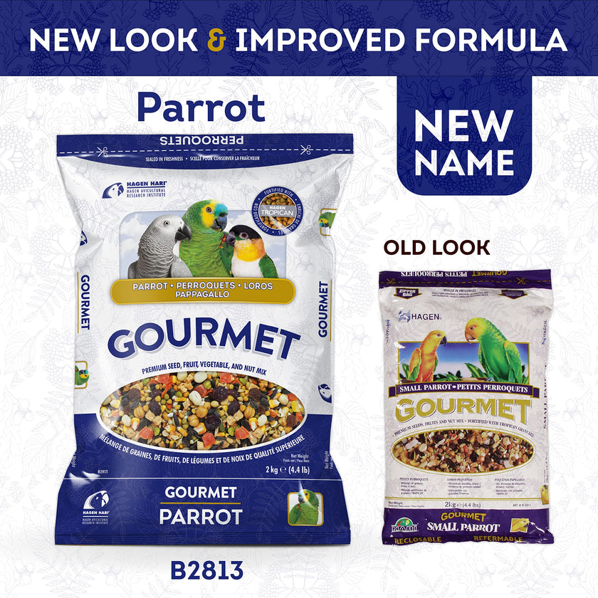 Hagen B2813 Gourmet Small Parrot Seed Mix, 2 Kg, 4.4-Pound 🍁 All In One Marketplace Canada