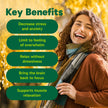 Organika Canadian-Made Mind Calm- with Magnesium Bisglycinate, L-Theanine, GABA, Inositol- Promotes Relaxation and Calm without Drowsiness- 120vcaps 🍁 All In One Marketplace Canada