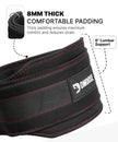 DMoose Dip Belt for Weightlifting, Weight Belt with Chain for Pullup, Gym Lifting Belt for Powerlifting, Squat, Bodybuilding, Heavy Duty Steel, Workout Belt with Comfortable Neoprene Support 🍁 All In One Marketplace Canada