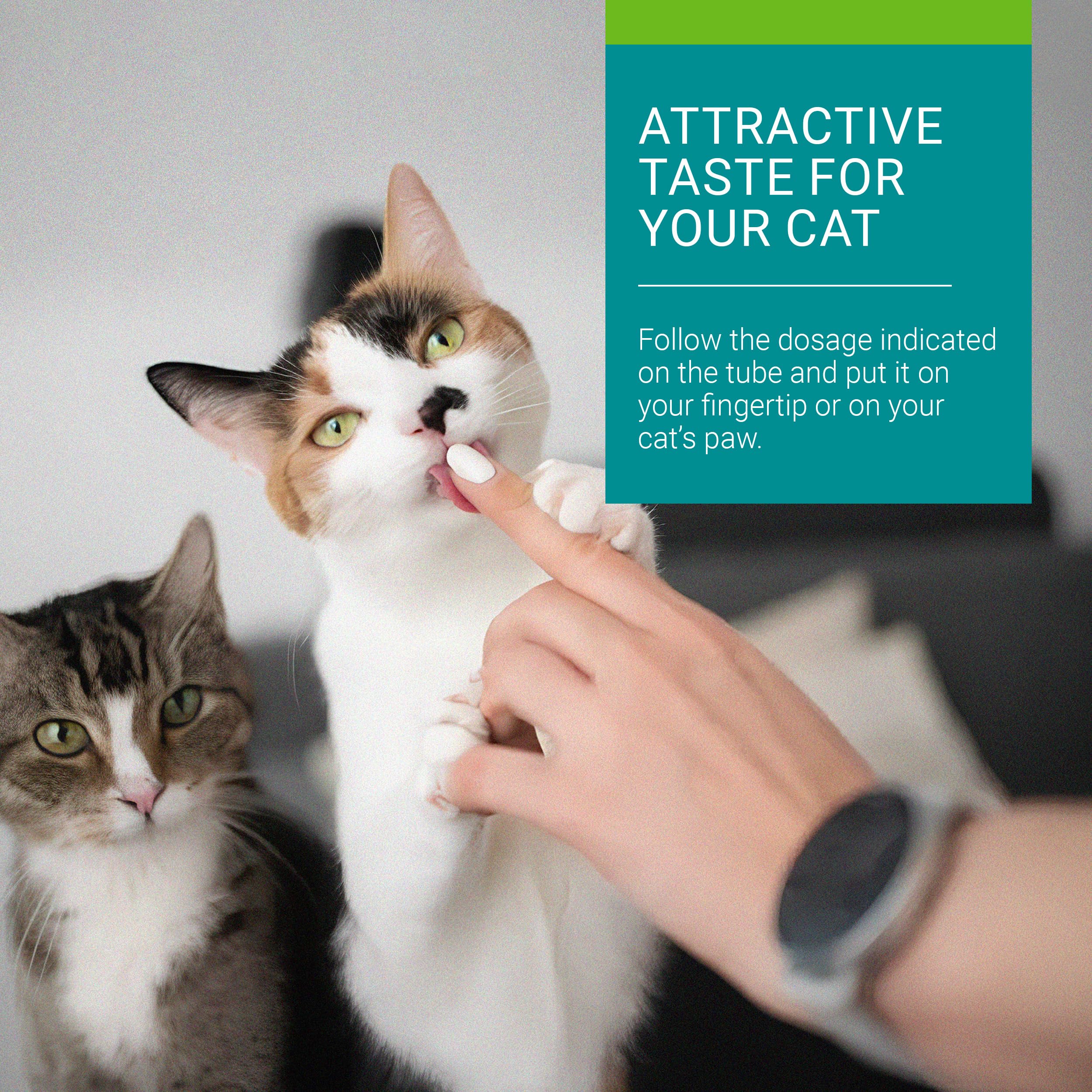 Vetoquinol Hairball-EZ – Veterinary Health Product – Helps Minimize Hairballs in Cats (Tuna) 🍁 All In One Marketplace Canada