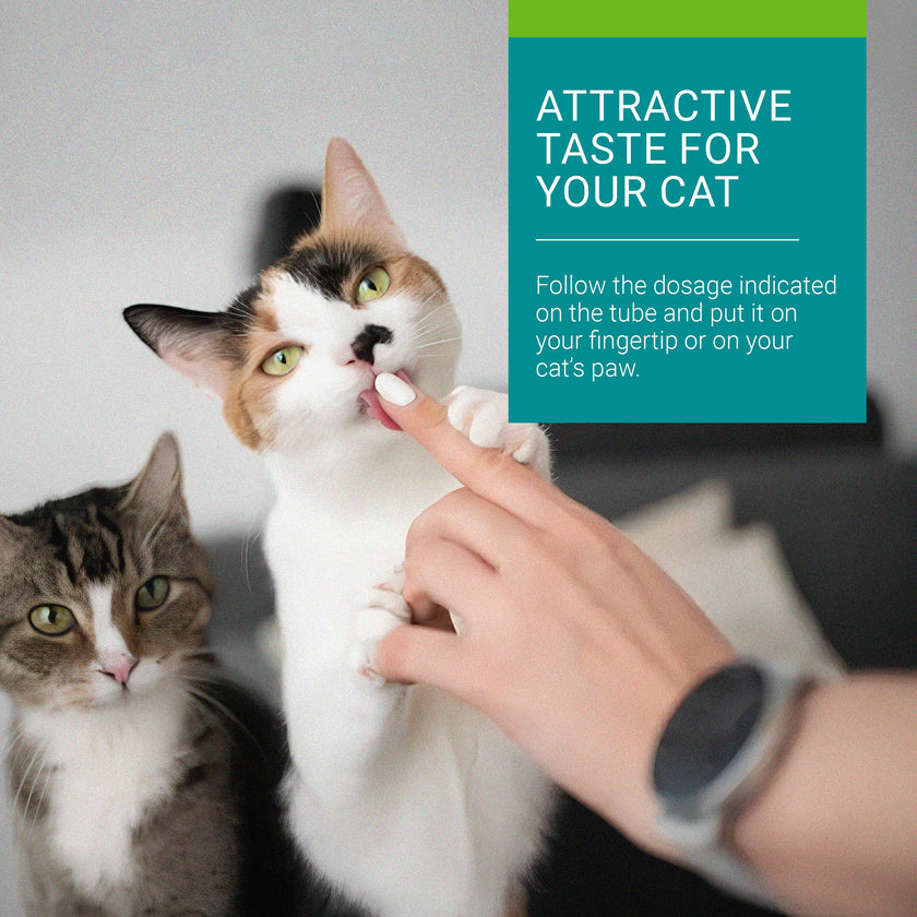 Vetoquinol Hairball-EZ – Veterinary Health Product – Helps Minimize Hairballs in Cats (Tuna) 🍁 All In One Marketplace Canada