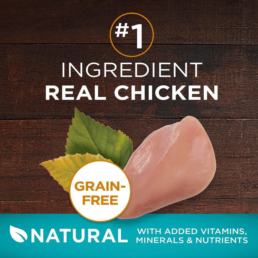 Purina ONE True Instinct Grain Free Dry Cat Food, High Protein Chicken - 6.53 kg Bag 🍁 All In One Marketplace Canada
