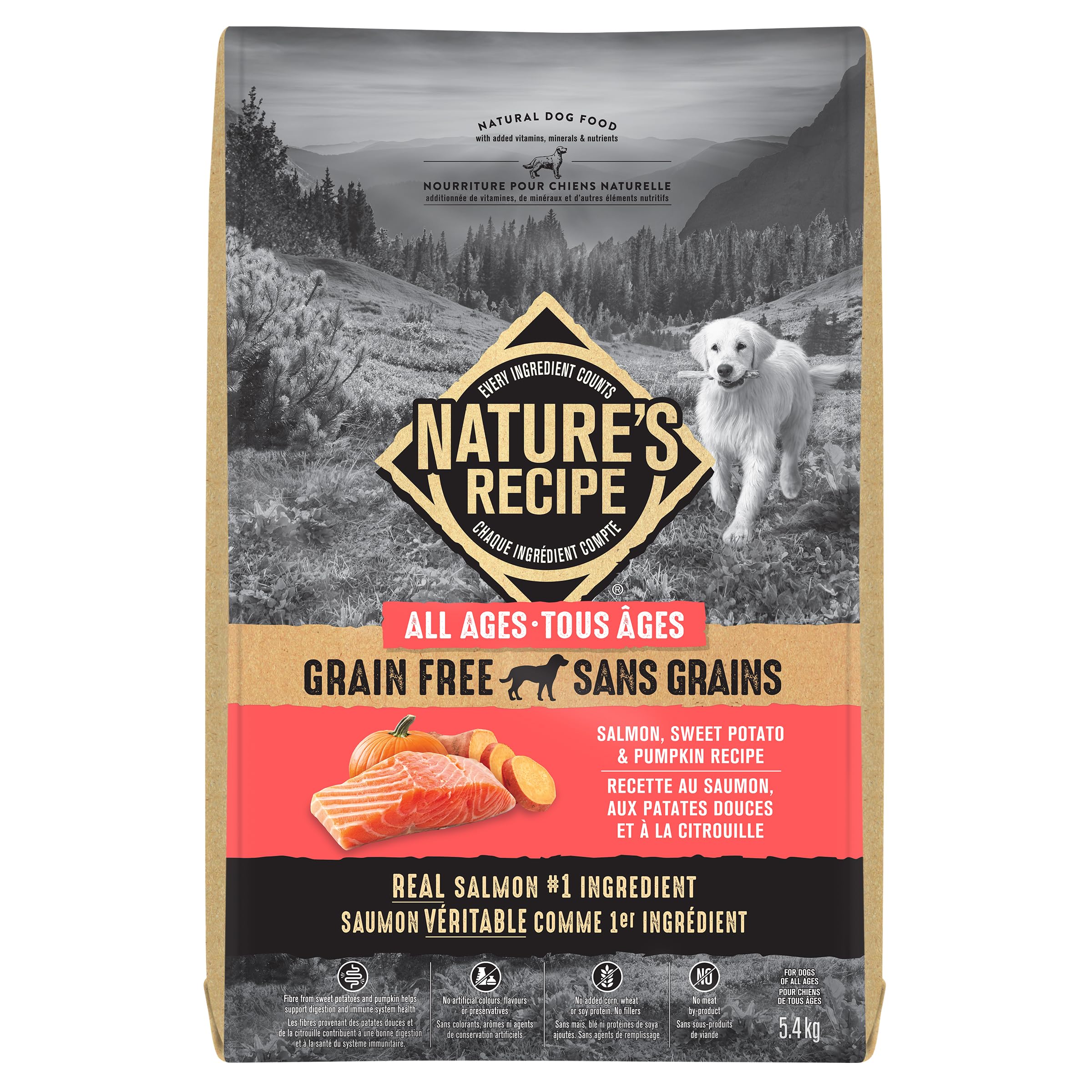 Nature's Recipe Grain Free Natural Dog Food Salmon, Sweet Potato & Pumpkin Recipe 5.4 kg (Pack of 1) 🍁 All In One Marketplace Canada