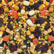 Hagen B2813 Gourmet Small Parrot Seed Mix, 2 Kg, 4.4-Pound 🍁 All In One Marketplace Canada