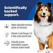 Hill's Science Diet Adult Sensitive Stomach & Skin Canned Dog Food, Salmon & Vegetable Entrée, 12.8 oz, 12 Pack Wet Dog Food 🍁 All In One Marketplace Canada