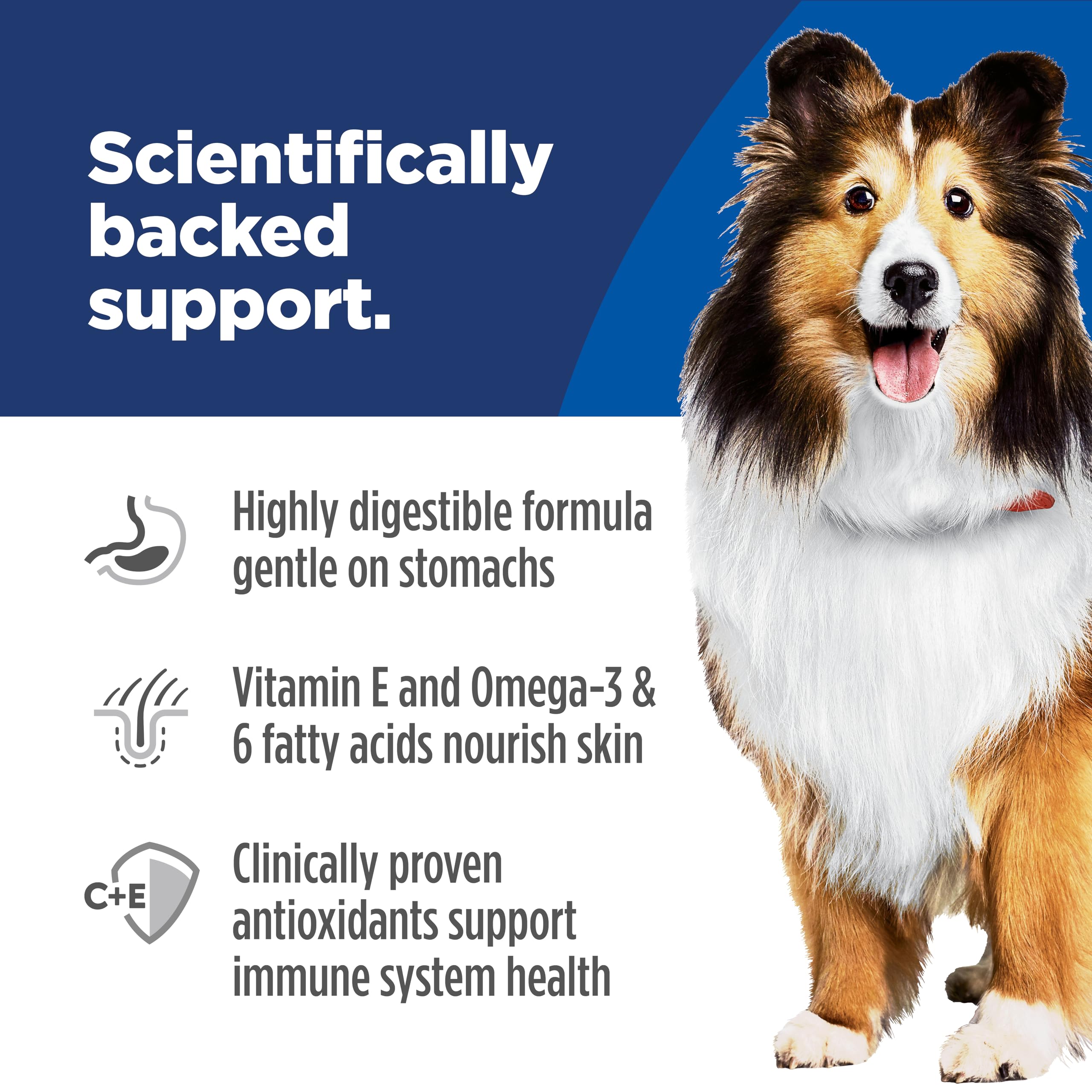 Hill's Science Diet Adult Sensitive Stomach & Skin Canned Dog Food, Salmon & Vegetable Entrée, 12.8 oz, 12 Pack Wet Dog Food 🍁 All In One Marketplace Canada