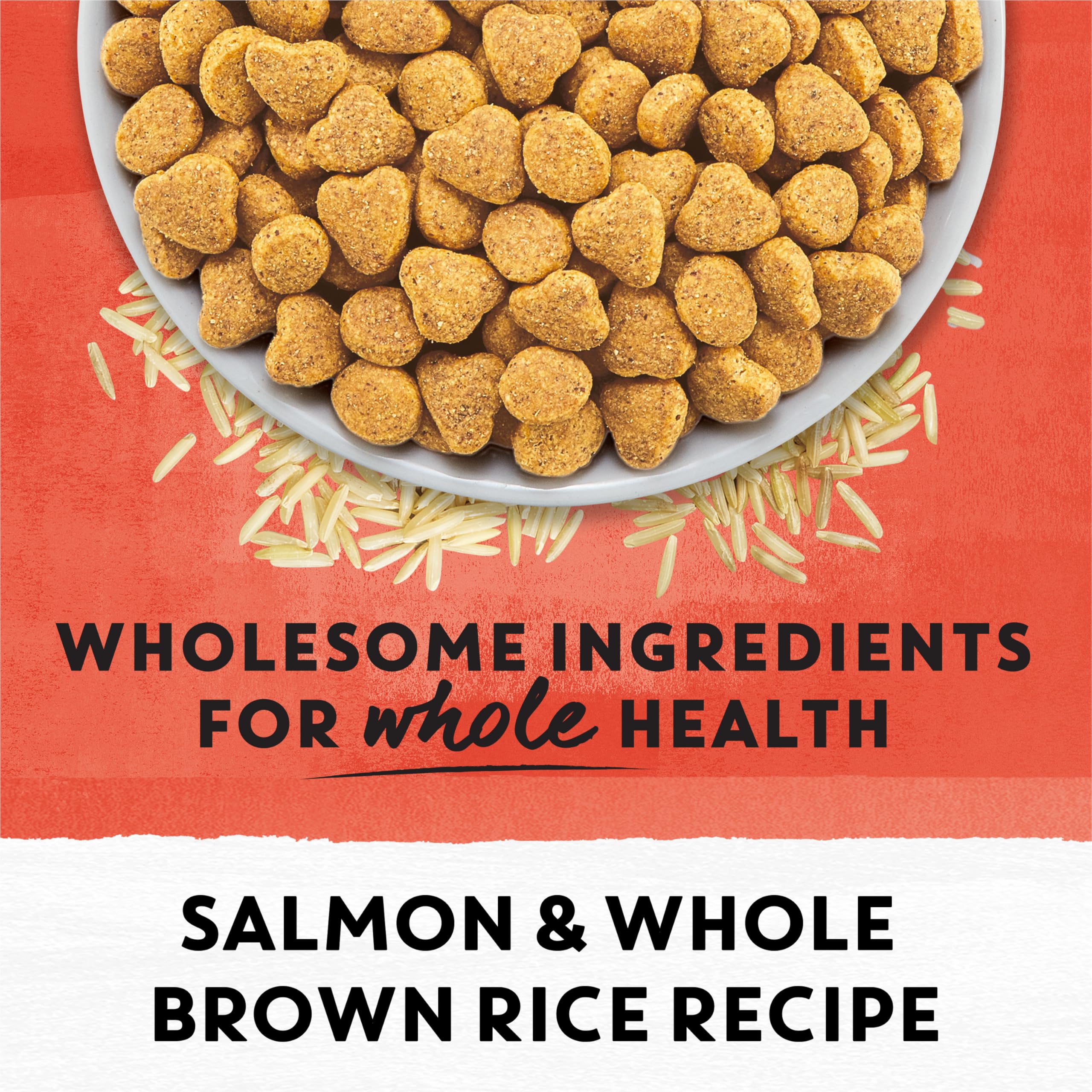 Beyond Simply Natural Dry Cat Food, Salmon & Whole Brown Rice - 2.72 kg Bag 🍁 All In One Marketplace Canada