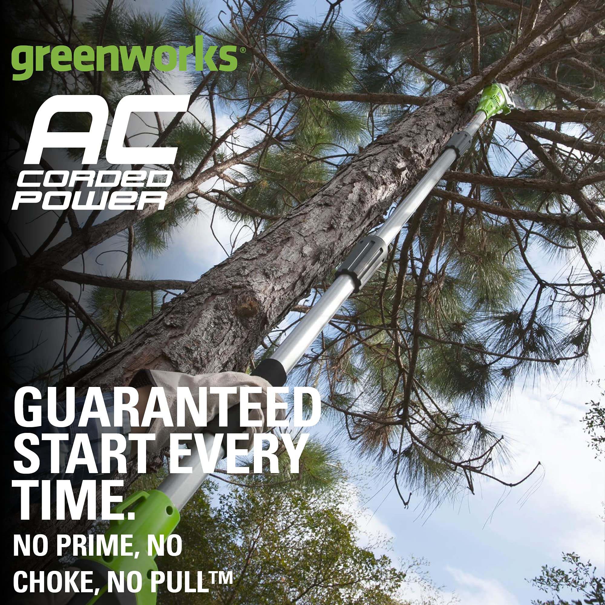 Greenworks 20192 8.5-Inch 6.5 Amp Electric Corded Pole Saw, Green 🍁 All In One Marketplace Canada