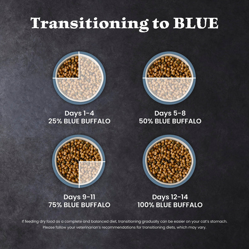 Blue Buffalo Wilderness Chicken Natural High-Protein Grain-Free Dry Food for Adult Indoor Cats, Antioxidant-Rich LifeSource Bits Support Immunity, Promotes Strong Muscles, 4.9kg/11 lbs. 🍁 All In One Marketplace Canada