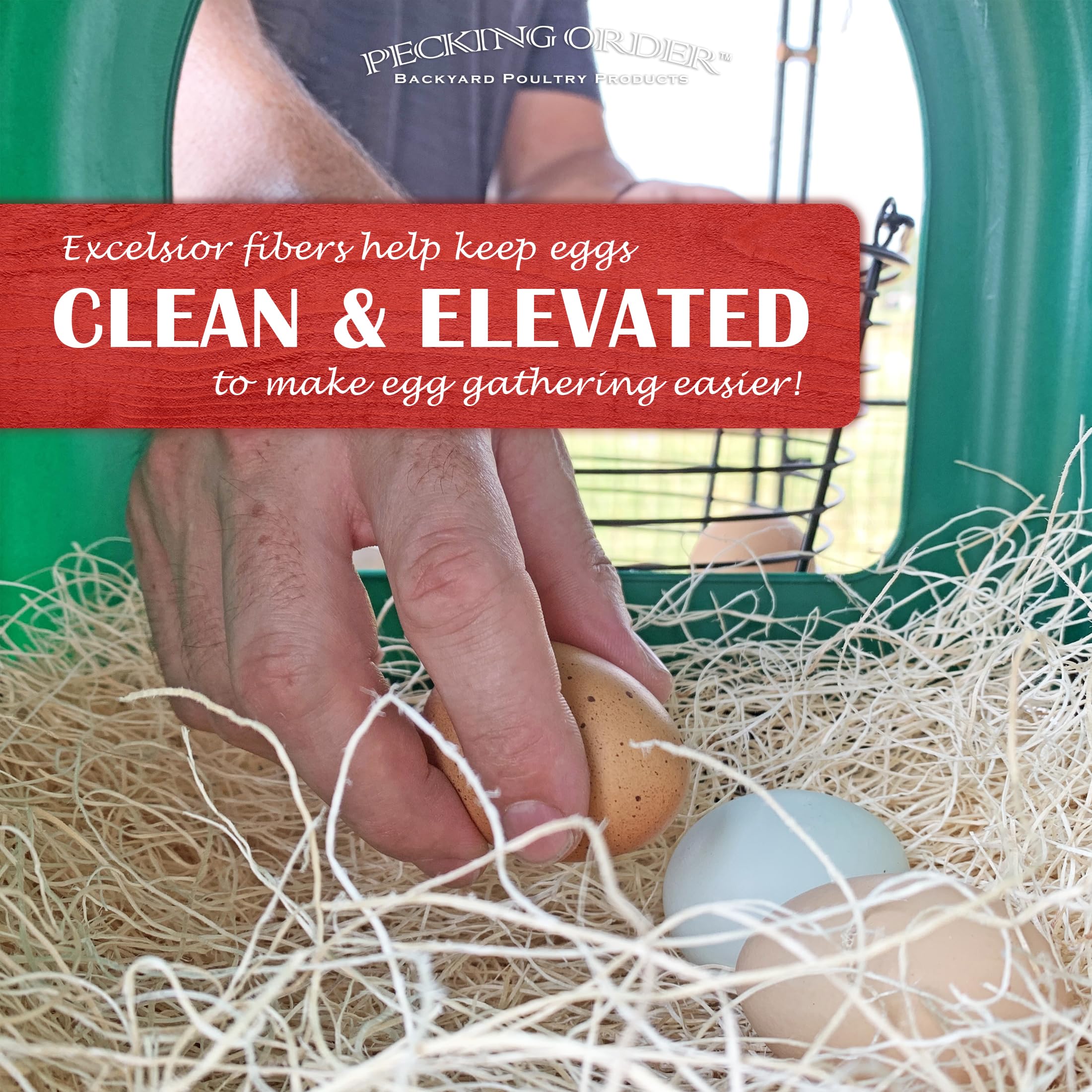 Nest Box Pads for Chicken Nesting Boxes - 13 x 13 Pads Made in USA from Sustainably Sourced Aspen Excelsior (5 Pack) 🍁 All In One Marketplace Canada
