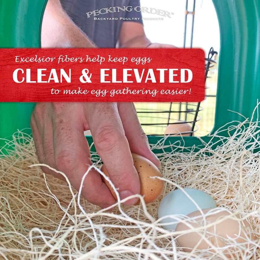 Nest Box Pads for Chicken Nesting Boxes - 13 x 13 Pads Made in USA from Sustainably Sourced Aspen Excelsior (5 Pack) 🍁 All In One Marketplace Canada