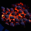 Weber Rapidfire Chimney Starter for Charcoal briquettes (7416) 🍁 All In One Marketplace Canada