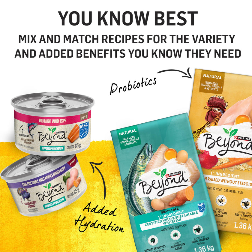 Beyond Dry Cat Food, Chicken & Whole Oatmeal 5.89kg 🍁 All In One Marketplace Canada