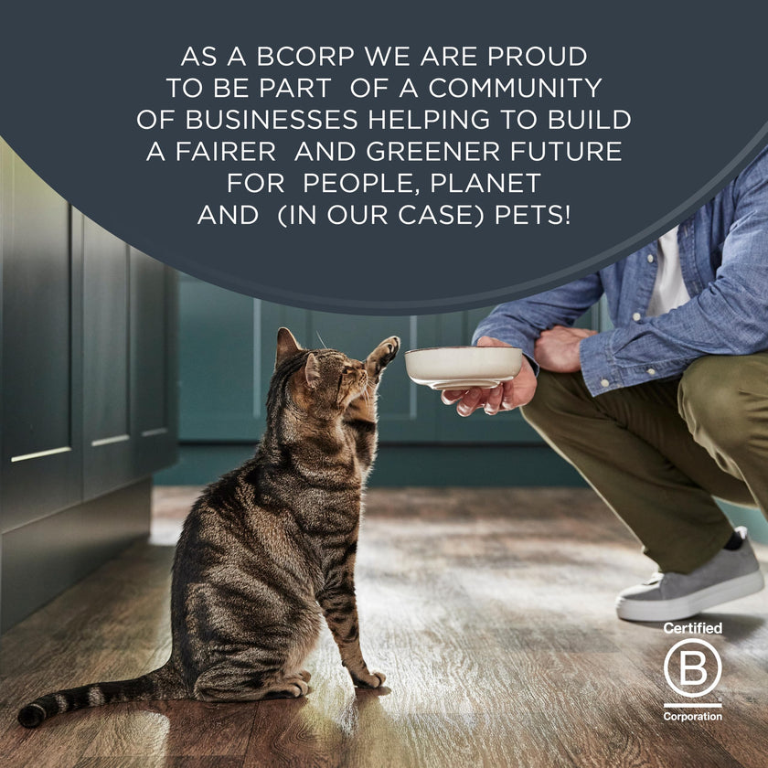 Reveal Natural Wet Cat Food in Broth, Limited Ingredient Grain Free Canned Cat Food, Protein with No Artificial Additives, Fish Variety in Broth (12 x 2.47 oz Cans) 🍁 All In One Marketplace Canada