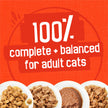 Friskies Poultry Wet Cat Food, Variety Pack 4 Flavours - 156 g Can (32 Pack) 🍁 All In One Marketplace Canada