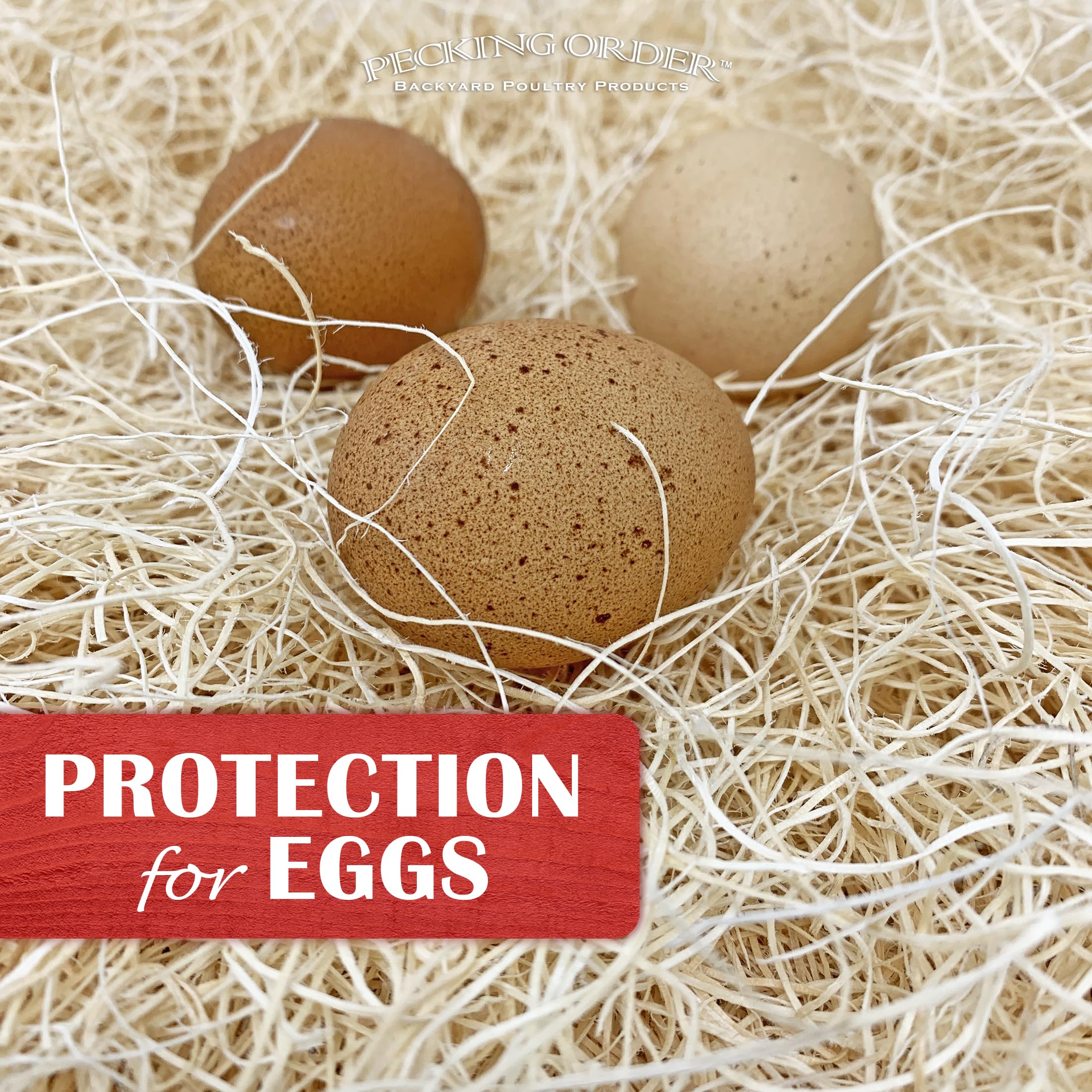 Nest Box Pads for Chicken Nesting Boxes - 13 x 13 Pads Made in USA from Sustainably Sourced Aspen Excelsior (5 Pack) 🍁 All In One Marketplace Canada