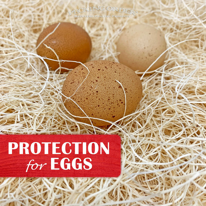 Nest Box Pads for Chicken Nesting Boxes - 13 x 13 Pads Made in USA from Sustainably Sourced Aspen Excelsior (5 Pack) 🍁 All In One Marketplace Canada