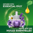 Air Wick Plug in Scented Oil Refills, Lavender and Chamomile, Eco Friendly, Essential Oils, Air Freshener, 0.67 Fl Oz (Pack of 10) 🍁 All In One Marketplace Canada