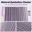 B&Q Fairy Lash Clusters Invisible Band 144PCS, Wispy Eyelash Clusters Manga False Eyelashes, C Curl Lash Cluster Natural Wet-Look Individual Lashes, Anime Cluster Eyelash Extensions with Spikes(Fairy) 🍁 All In One Marketplace Canada