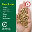 Organika Canadian-Made Maca 4:1 Strength 180 Vcaps - 3000mg | High Bioavialability Formula, Adaptogen to Help with Stress, Energy and Hormone Balance 🍁 All In One Marketplace Canada