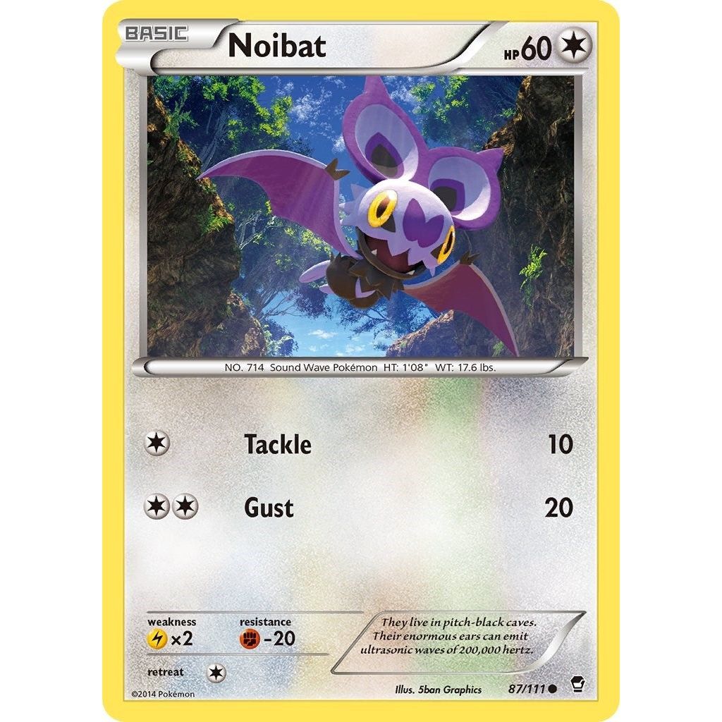 Noibat (87/111) (FFI)