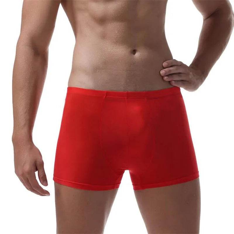 Ice Silk Transparent Elastic Boxer briefs Pant underwear for men