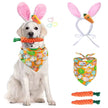 Easter Bunny Set – Festive Luxury Pet Accessory Set