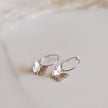 Butterfly Hoops