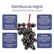 Hydralyte - Elderberry Immune - Berry Blast (10ct)