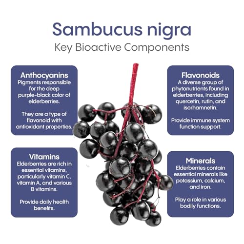 Hydralyte - Elderberry Immune - Berry Blast (10ct)