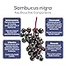 Hydralyte - Elderberry Immune - Berry Blast (10ct)